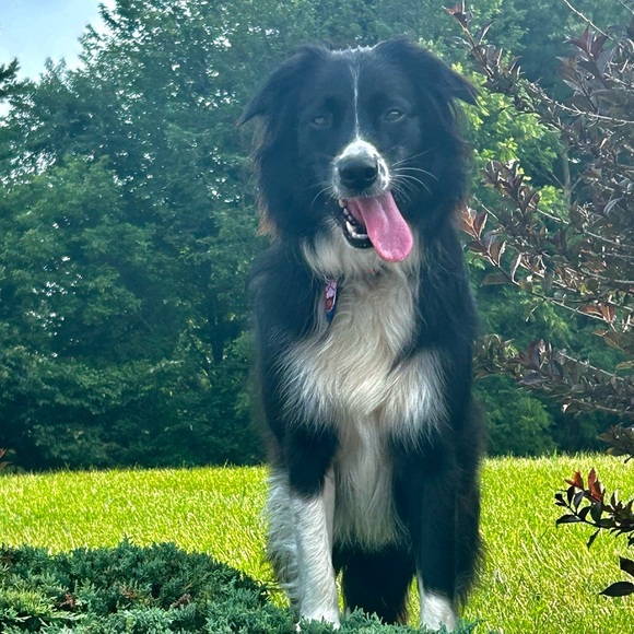 @mitten_girl  Like This Post - Picture 11 of 14